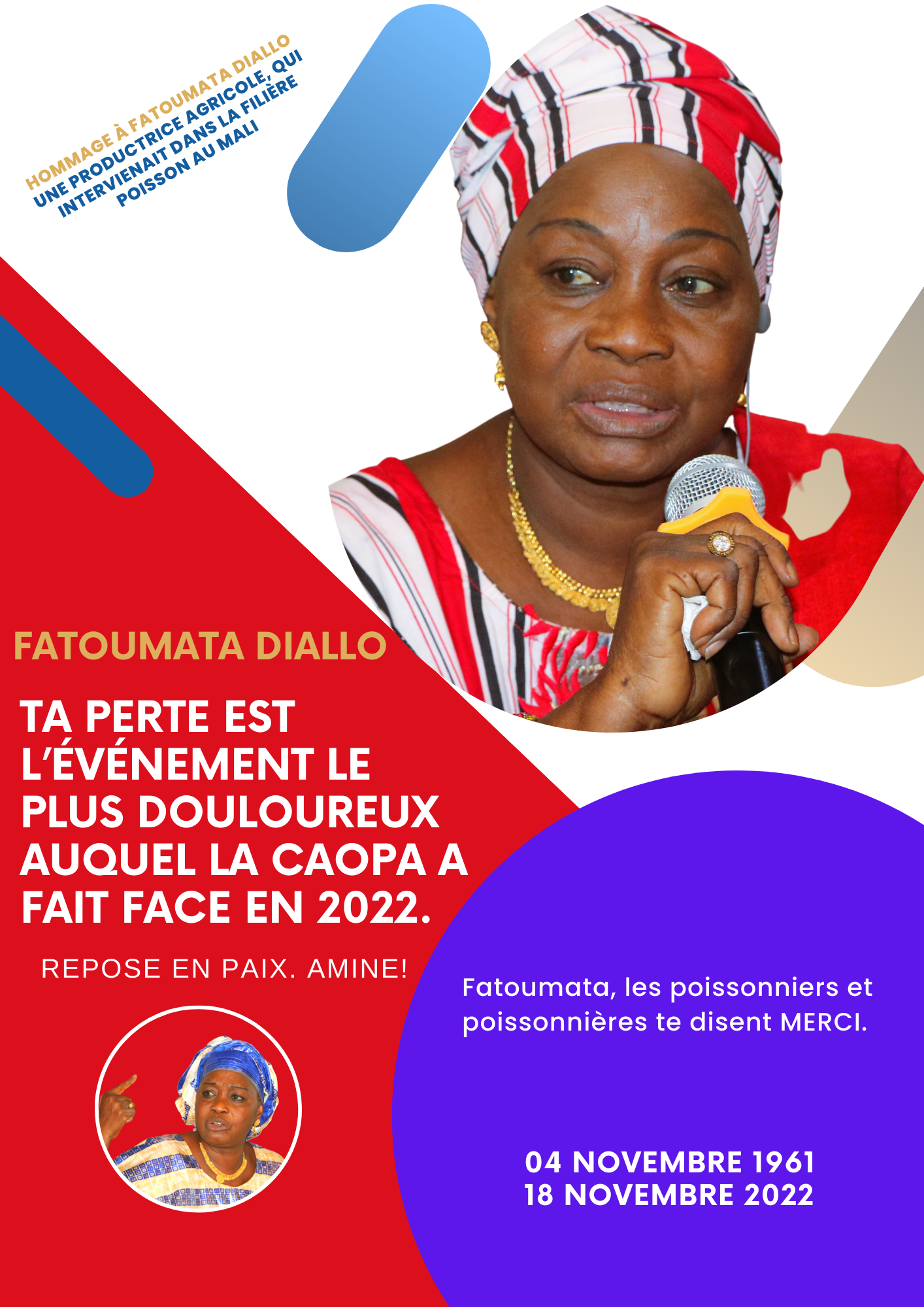 Pancartes Hommage à Fatoumata DIALLO