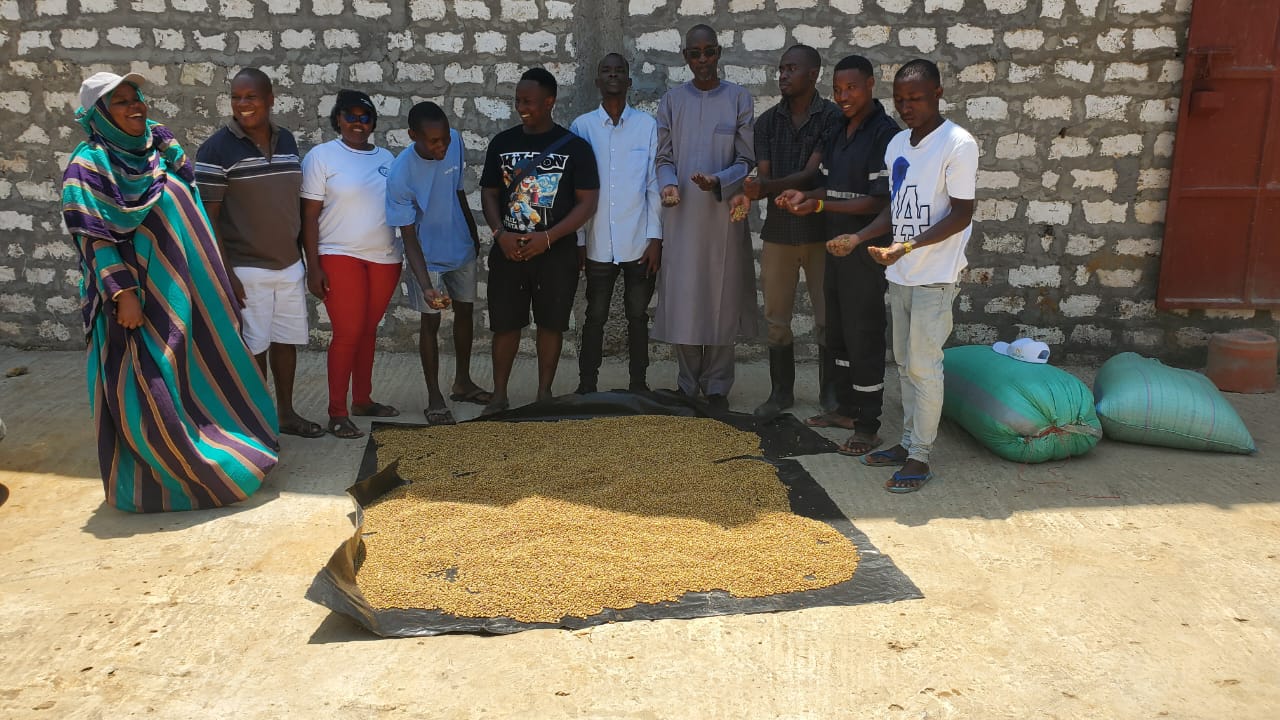 Visite de la ferme piscicole de Mombassa