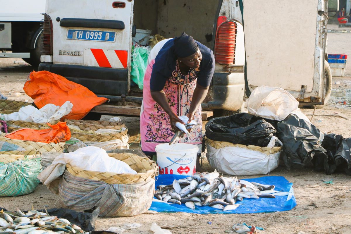 Femme mareyeuse Djifer