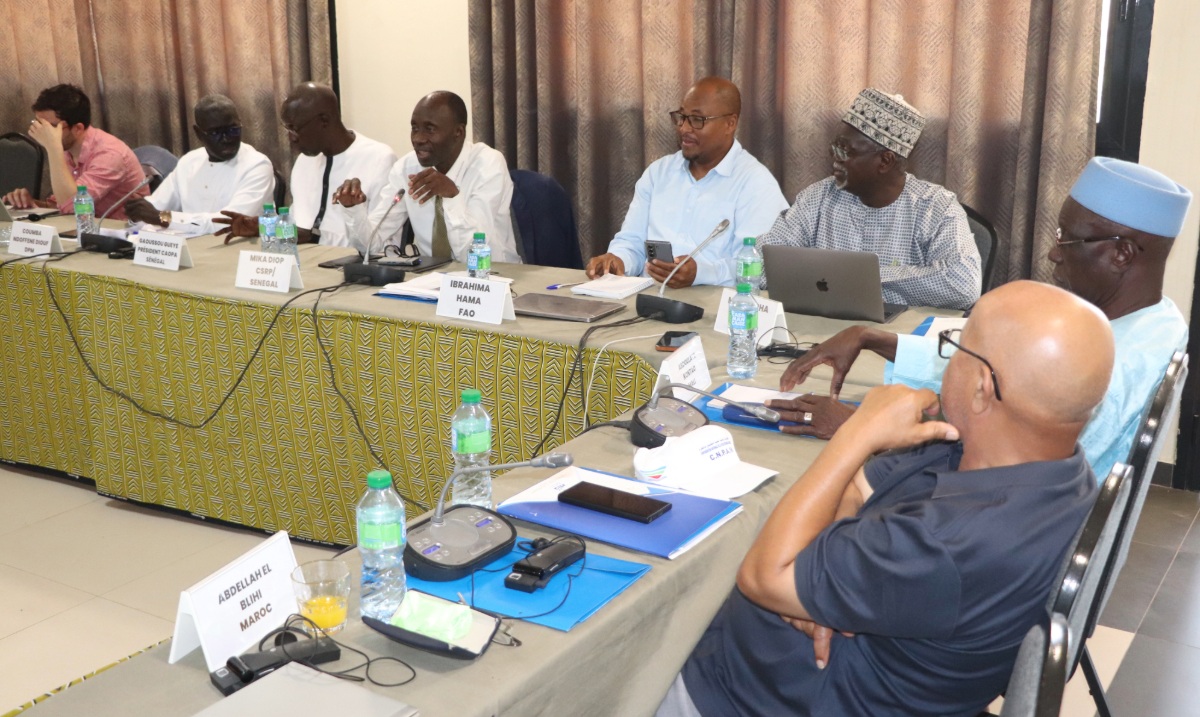 Rencontre d'échange