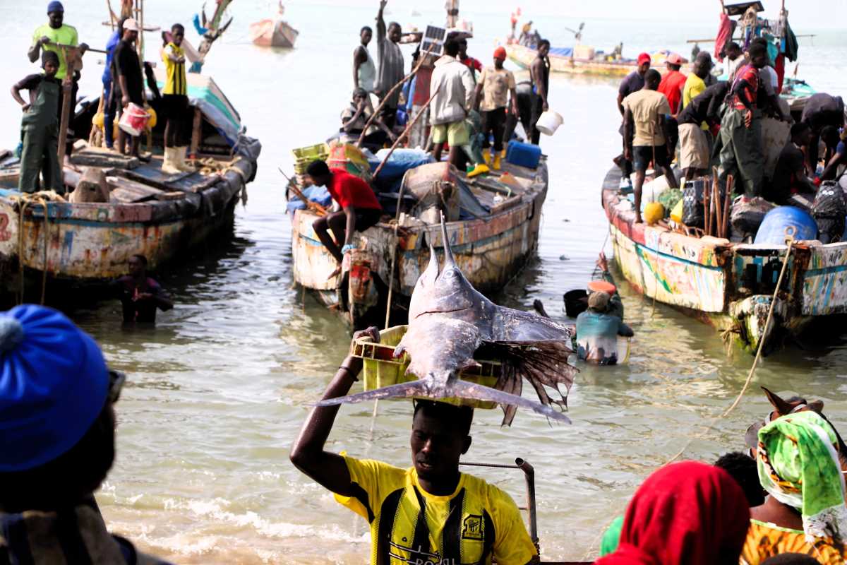 Débarcadère Mbour ©Aliou DIALLO CAOPA 2025