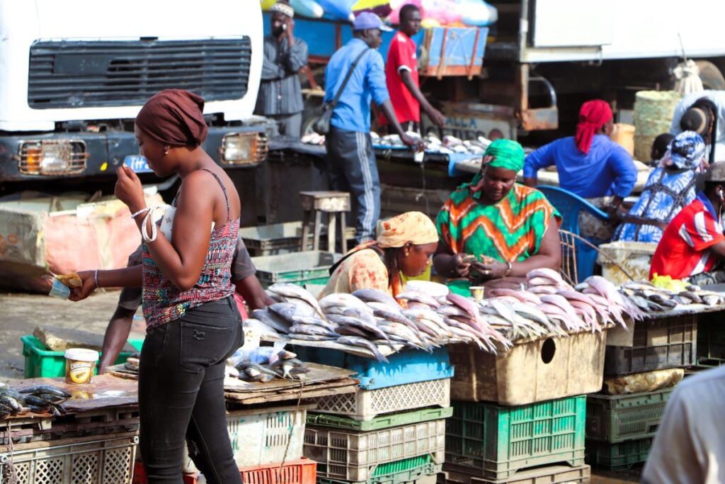 Marché de poisson à Mbour ©Aliou DIALLO CAOPA 2025