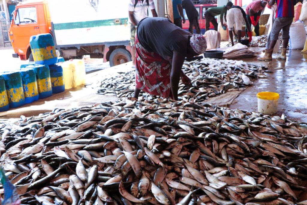 Mareyeuse à Gunjur 2025 ©Aliou DIALLO CAOPA