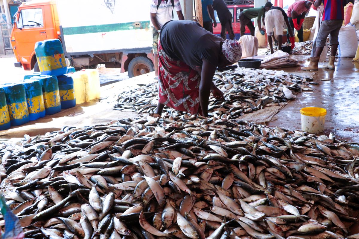 Mareyeuse à Gunjur 2025 ©Aliou DIALLO CAOPA
