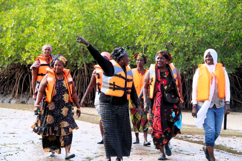 Femmes retour aux champs