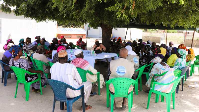 Sous l'arbre à palabres 1