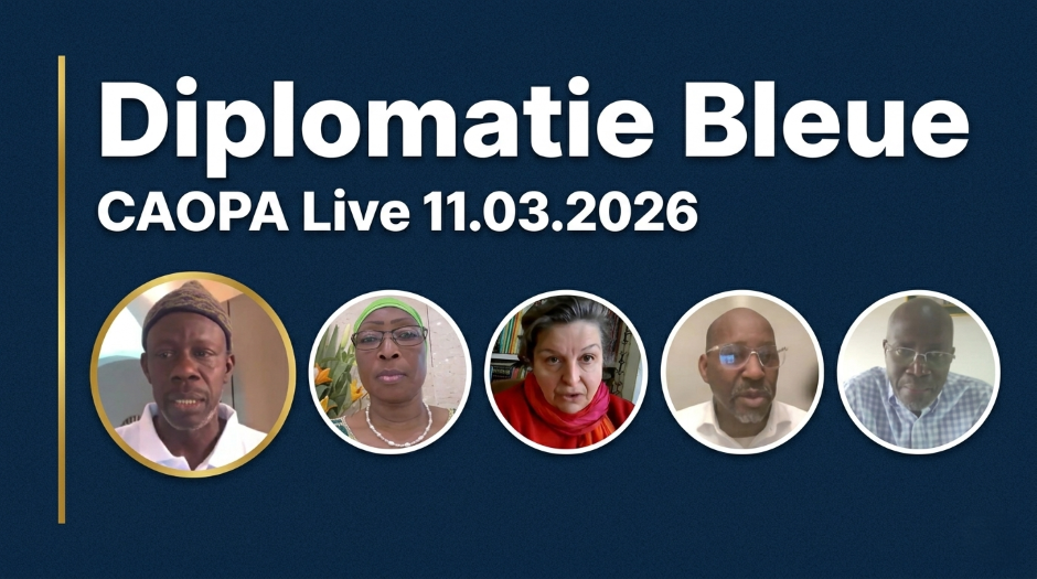 Dplomatie bleue CAOPA panélistes