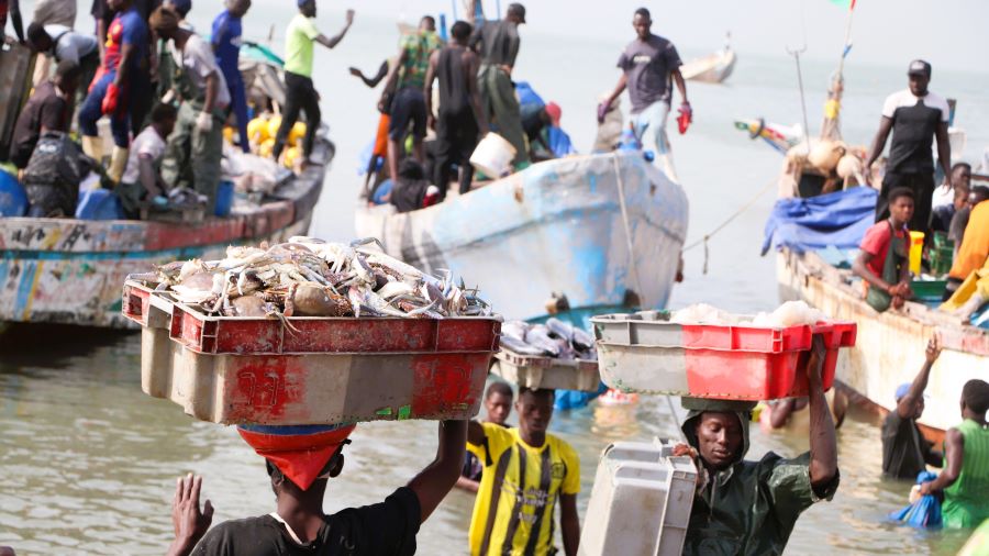 Investir dans la jeunesse de la pêche artisanale 1 ©CAOPA