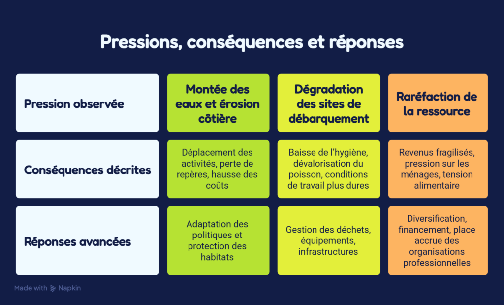 Quelques effets observés et réponses mises en avant - visual selection