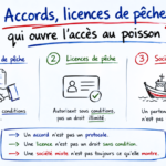 Accords, licences et accès au poisson