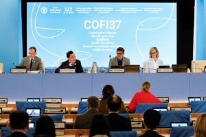 September 7, 2026. Rome, Italy. From left: Manuel Barange, FAO Assistant Director-General, Fisheries and Aquaculture Division (NFI); FAO Director-General QU Dongyu; Chairperson Adam Berry; and Secretary Alice McDonald sit at the start of the 37th Session of COFI—Opening Session. FAO headquarters (Plenary Hall) Photo credit must be given: ©FAO/Pier Paolo Cito.