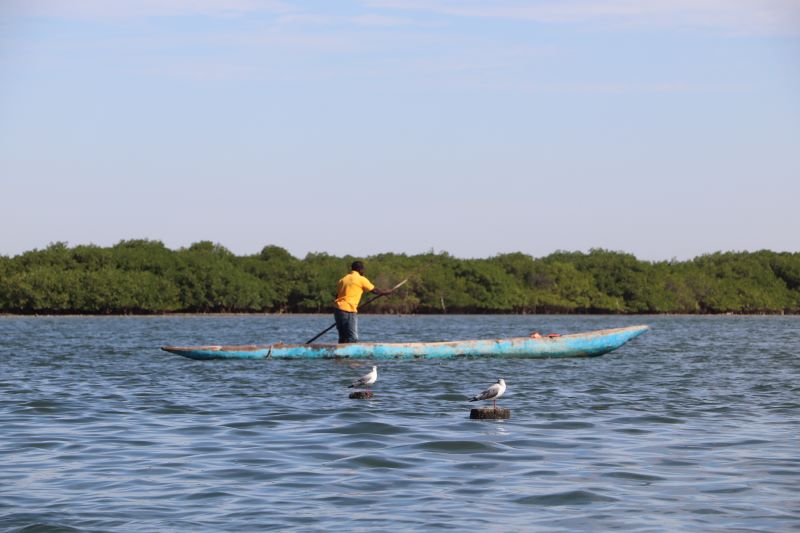 Pêche à petite échelle ®CAOPA