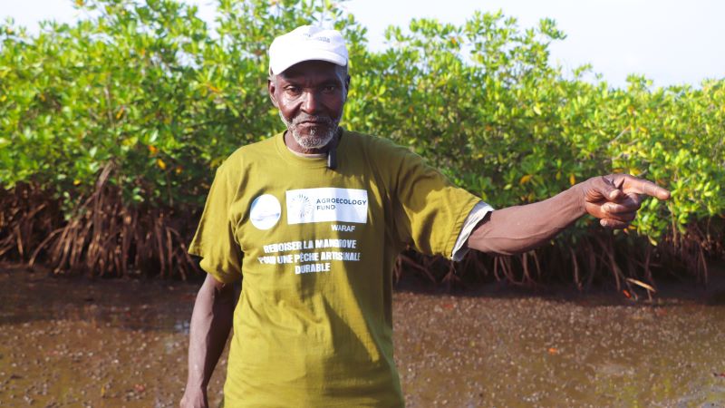 Sidy Kor, chef village Dassilamé Sérère ©CAOPA 2026